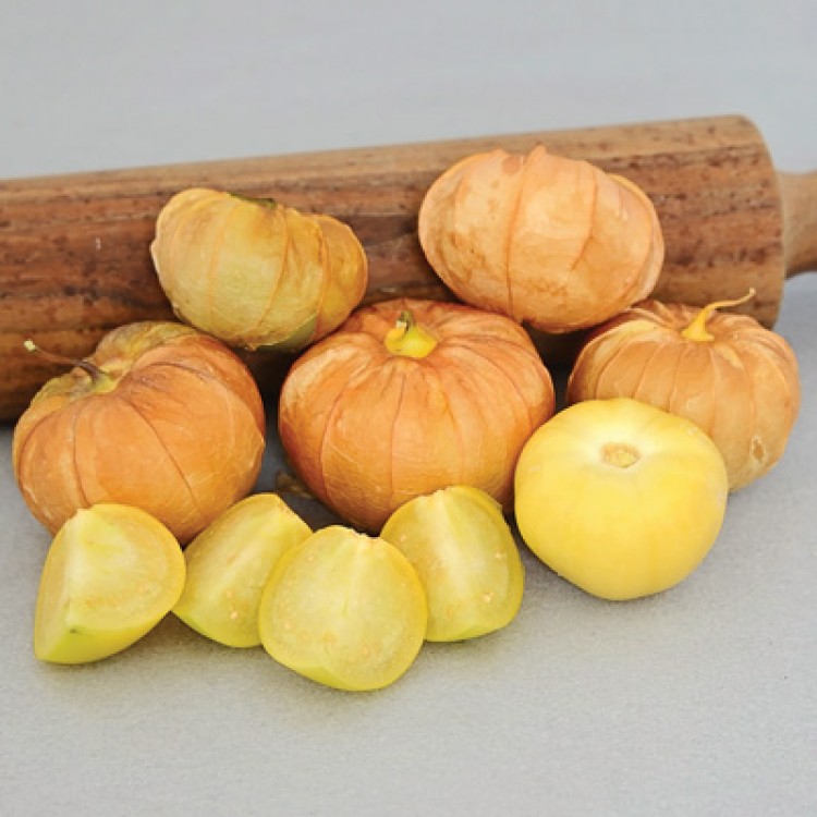 early Details about   Tomatillo Pineapple Physalis seeds Vegetable 