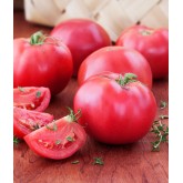 Pink / Red Tomatoes Pink / Red Tomatoes