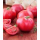 Pink / Red Tomatoes