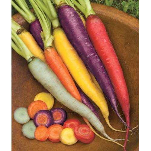 Rainbow Carrot Blend Vegetable Seeds
