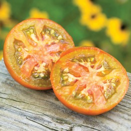 Thorburn's Terracotta Tomato Vegetable Seeds