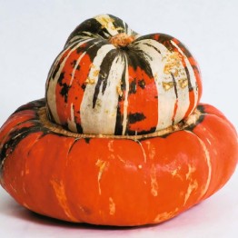 Turks Turban Pumpkin