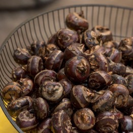 Chinese Water Chestnuts