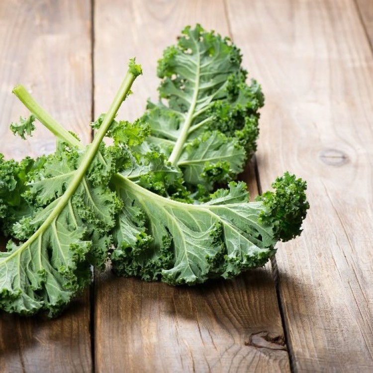 White Russian Kale